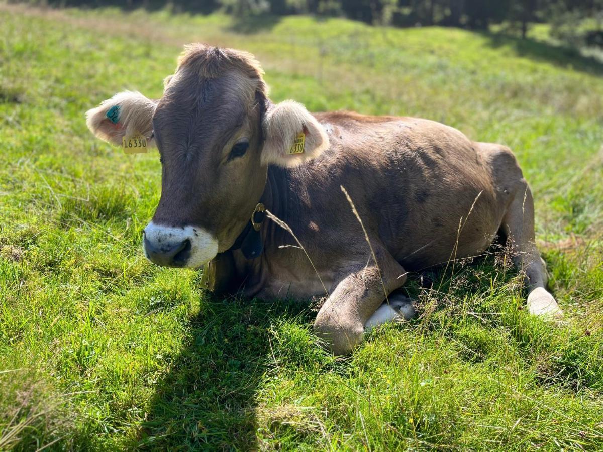 Ferienwohnungen Mama Elva Leutkirch im Allgäu Exterior foto